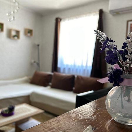 Levendula Vendégház Balatonföldvár Extérieur photo